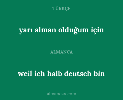 weil ich halb deutsch bin - yarı alman olduğum için