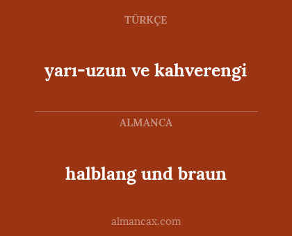 yarı-uzun ve kahverengi - halblang und braun