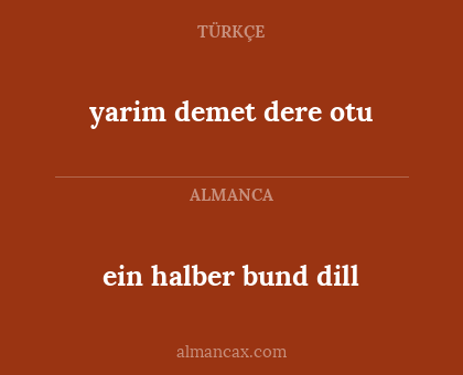 yarim demet
dere otu - ein halber bund dill