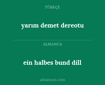 ein halbes bund dill - yarım demet dereotu
