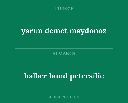 halber bund petersilie - yarım demet maydonoz