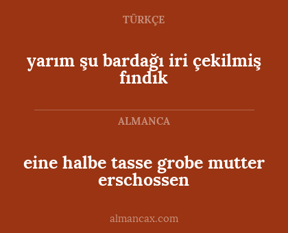 yarım şu bardağı iri çekilmiş fındık - eine halbe tasse grobe mutter erschossen