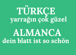 yarra%C4%9F%C4%B1n+%C3%A7ok+g%C3%BCzel-dein+blatt+ist+so+sch%C3%B6n.png