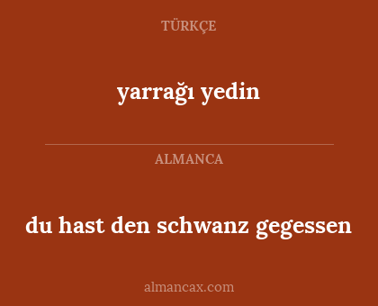 du hast den schwanz gegessen - yarrağı yedin