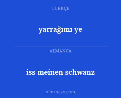 iss meinen schwanz - yarrağımı ye