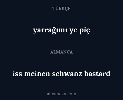 yarrağımı ye piç - iss meinen schwanz bastard