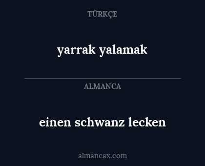 einen schwanz lecken - yarrak yalamak