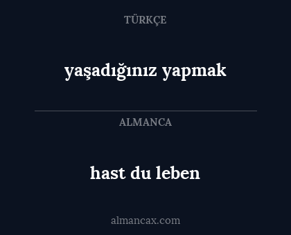 hast du leben - yaşadığınız yapmak