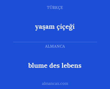 blume des lebens - yaşam çiçeği