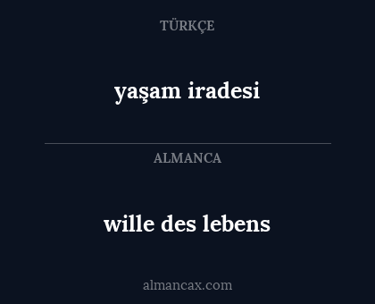yaşam iradesi - wille des lebens