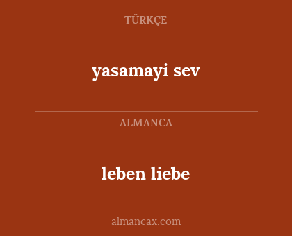 leben liebe - yasamayi sev