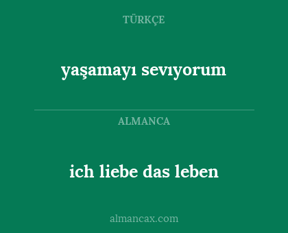 ich liebe das leben - yaşamayı sevıyorum