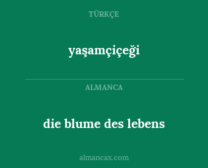 die blume des lebens - yaşamçiçeği