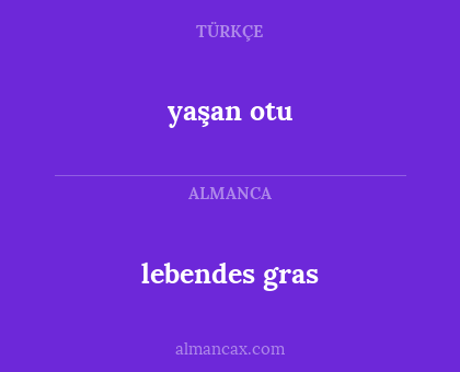 lebendes gras - yaşan otu