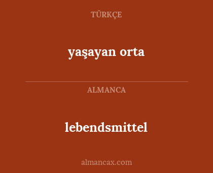 yaşayan orta - lebendsmittel