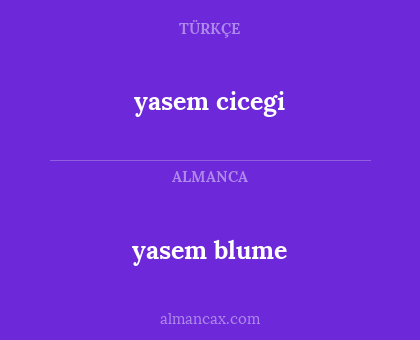 yasem cicegi - yasem blume