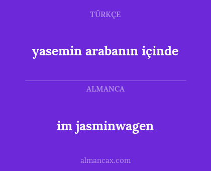 yasemin arabanın içinde - im jasminwagen