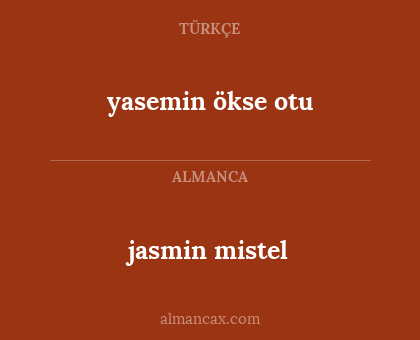 jasmin mistel - yasemin ökse otu