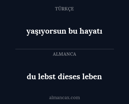 du lebst dieses leben - yaşıyorsun bu hayatı
