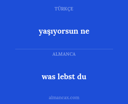 was lebst du - yaşıyorsun ne