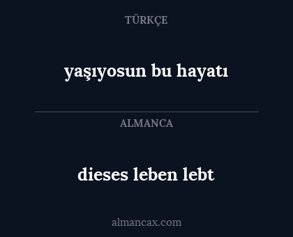 yaşıyosun bu hayatı - dieses leben lebt