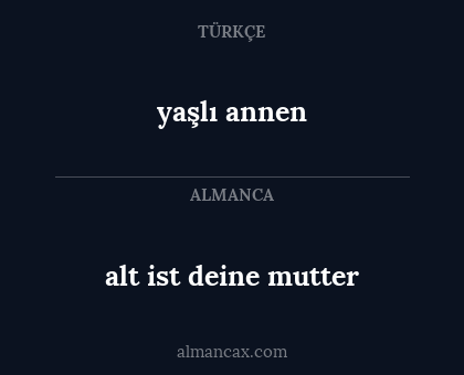 yaşlı annen - alt ist deine mutter