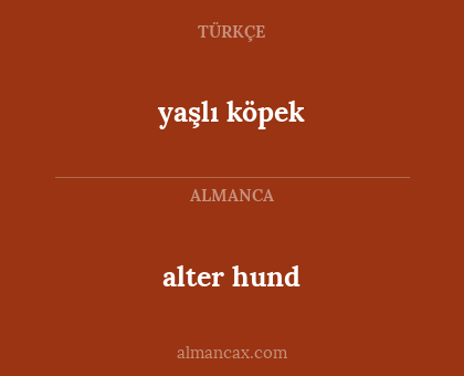 yaşlı köpek - alter hund