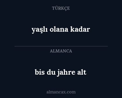 yaşlı olana kadar - bis du jahre alt