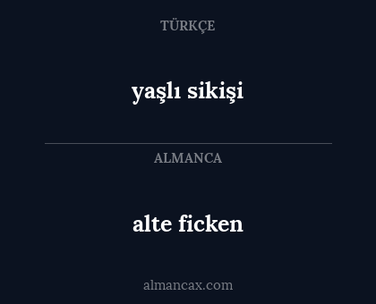 yaşlı sikişi - alte ficken
