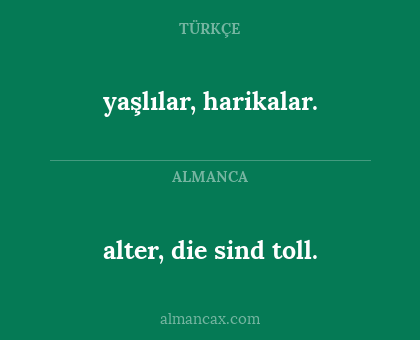 yaşlılar, harikalar. - alter, die sind toll.