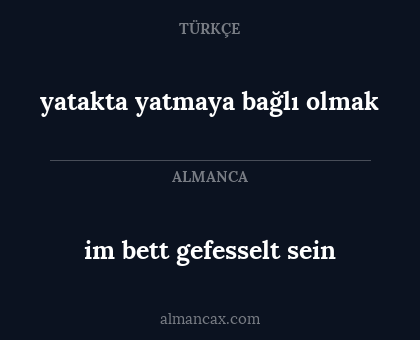 im bett gefesselt sein - yatakta yatmaya bağlı olmak