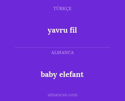 yavru fil - baby elefant