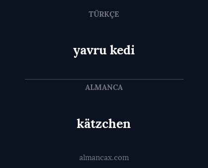 yavru kedi - kätzchen