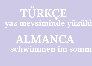 yaz+mevsiminde+y%C3%BCz%C3%BCl%C3%BCr-schwimmen+im+sommer.png