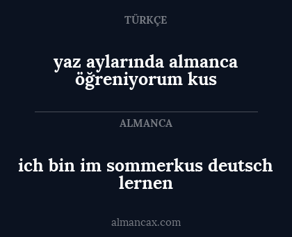 ich bin im sommerkus deutsch lernen - yaz aylarında almanca öğreniyorum kus