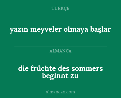 yazın meyveler olmaya başlar - die früchte des sommers beginnt zu