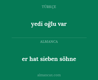 yedi oğlu var - er hat sieben söhne