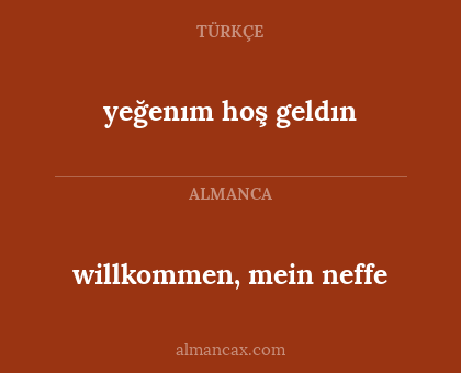 willkommen, mein neffe - yeğenım hoş geldın