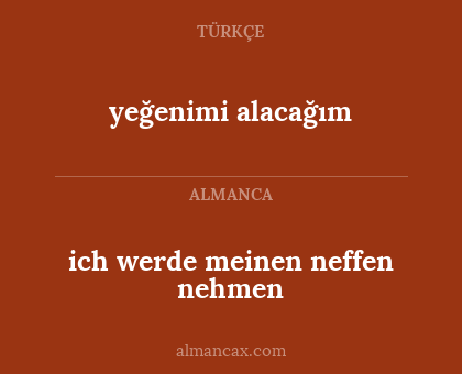 ich werde meinen neffen nehmen - yeğenimi alacağım