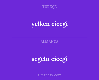 yelken cicegi - segeln cicegi