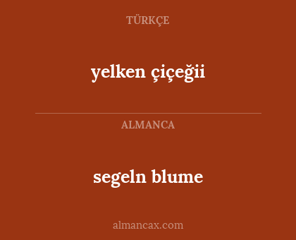 segeln blume - yelken çiçeğii