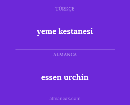 essen urchin - yeme kestanesi