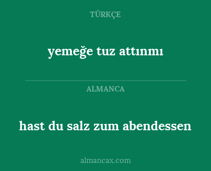 hast du salz zum abendessen - yemeğe tuz attınmı