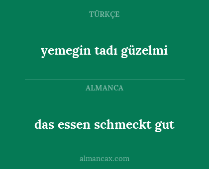 das essen schmeckt gut - yemegin tadı güzelmi