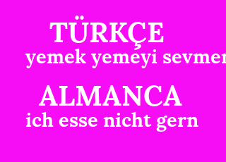 yemek+yemeyi+sevmem-ich+esse+nicht+gern.png
