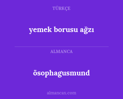 yemek borusu ağzı - ösophagusmund