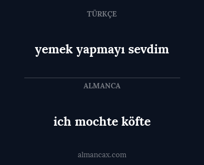 ich mochte köfte - yemek yapmayı sevdim