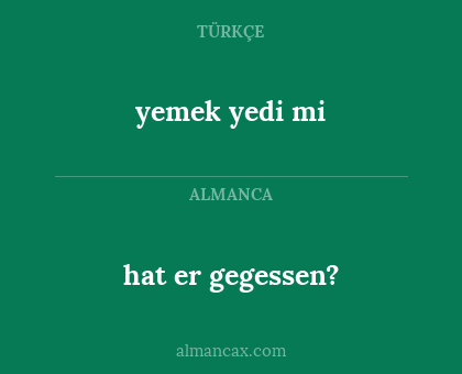 hat er gegessen? - yemek yedi mi