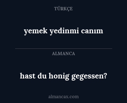 yemek yedinmi canım - hast du honig gegessen?