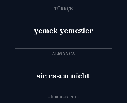 sie essen nicht - yemek yemezler